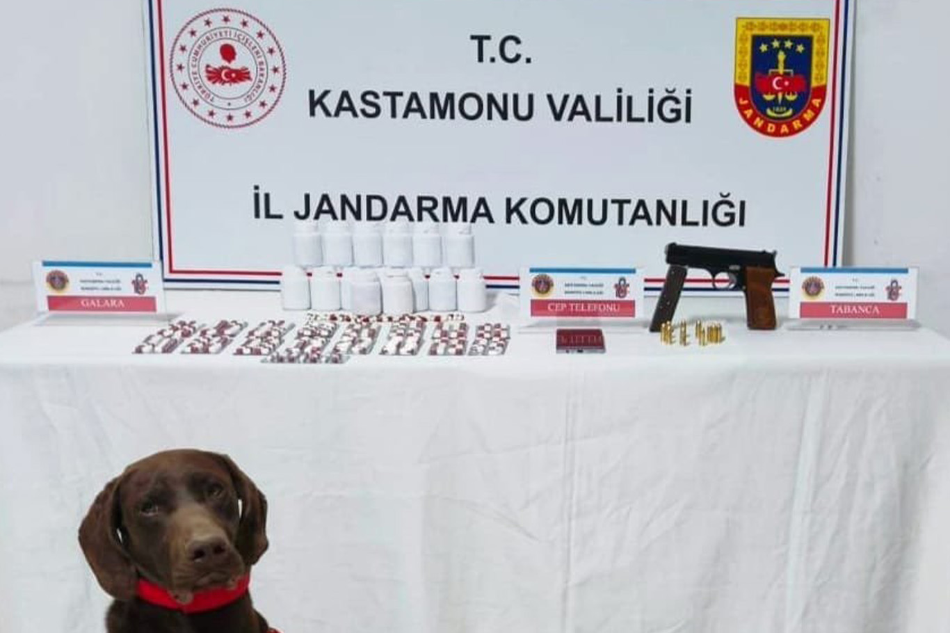 Kastamonu'da uyuşturucu operasyonunda bir kişi tutuklandı