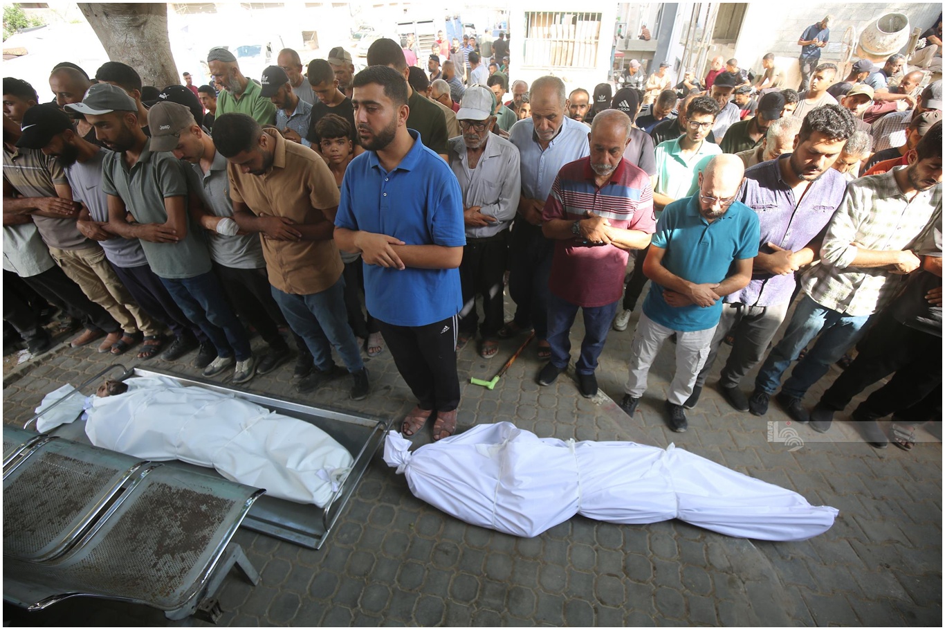 Gazze'de şehit sayısı sürekli artıyor