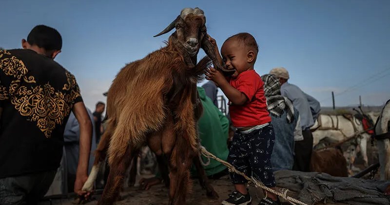 Modern dünyanın kurban ettiği insanlığa karşı kurban şuuru
