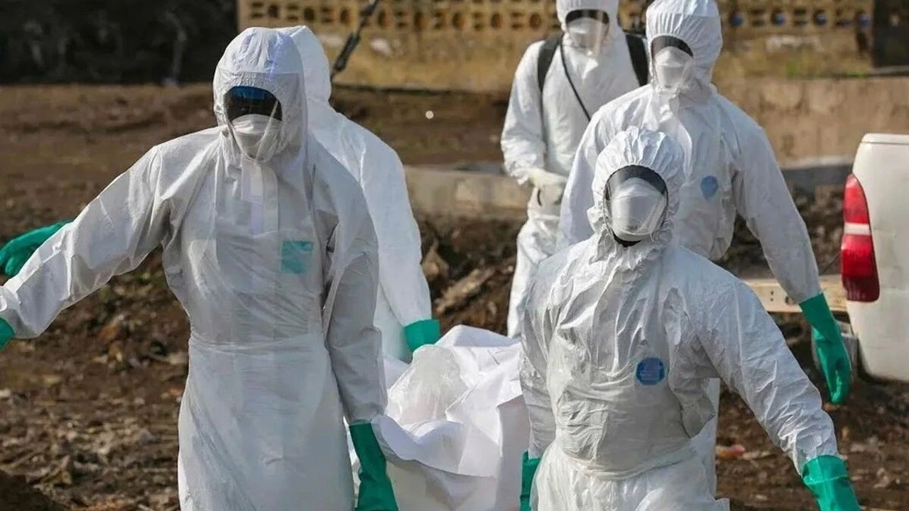 Ebola müdahalesine destek çağrısı