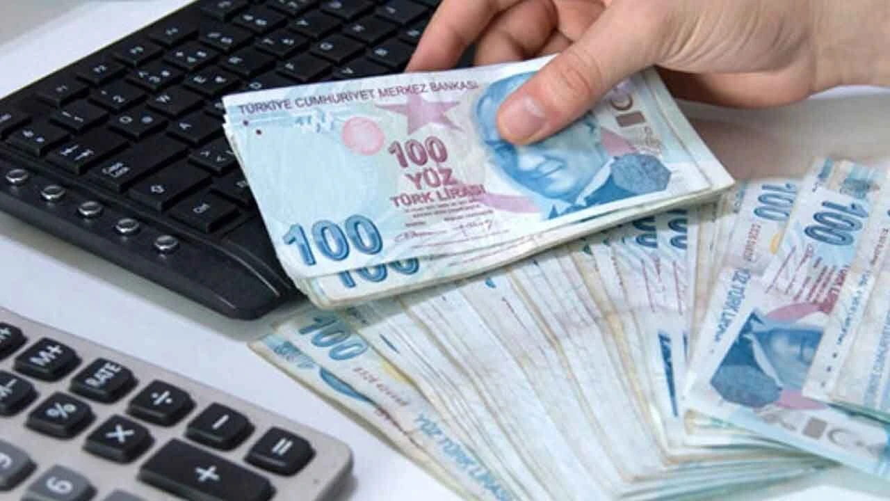 Görülmemiş ceza açıklandı: Bu bitkiyi kopartan araba parası ödeyecek!