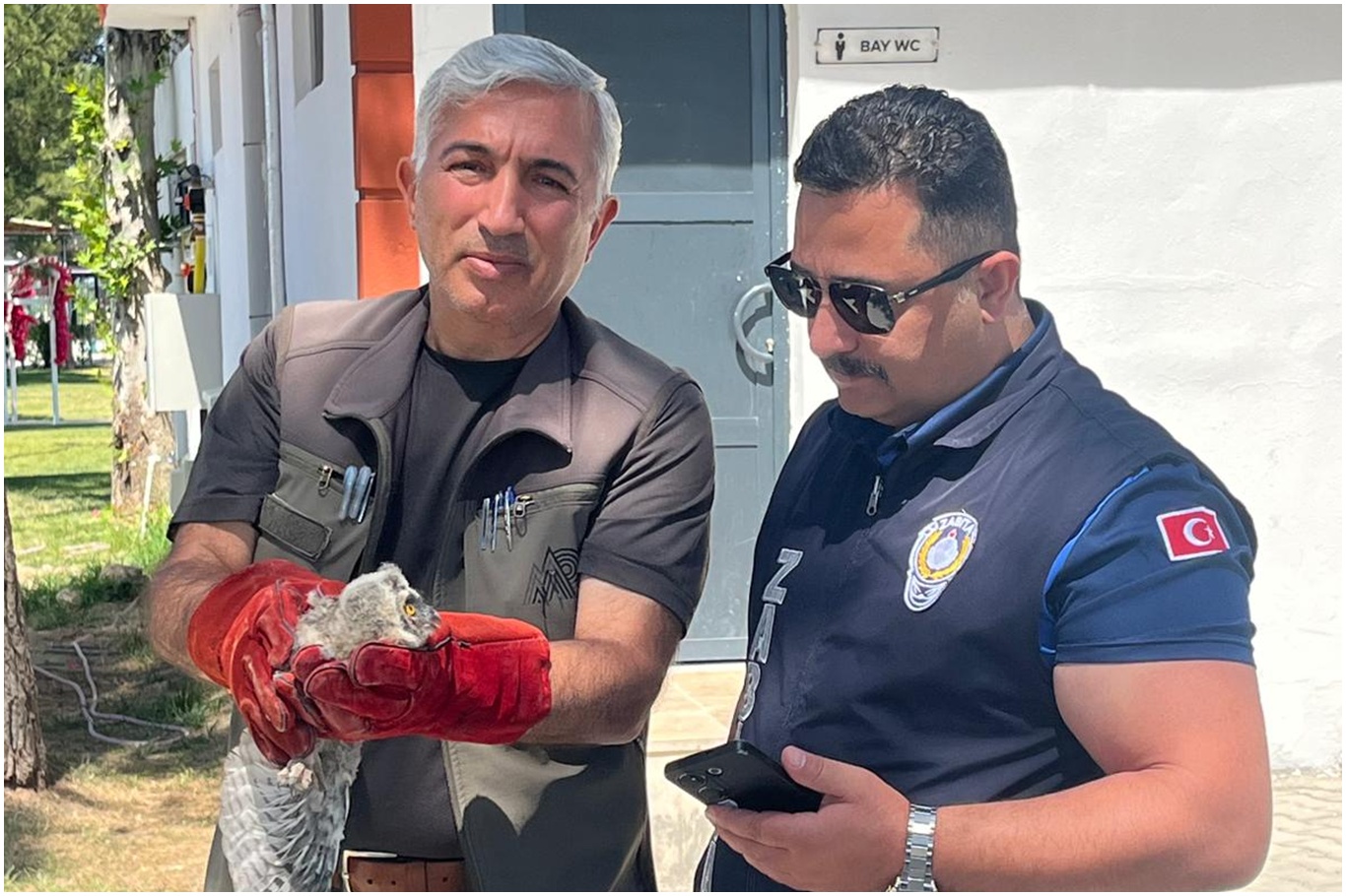 Battalgazi zabıtası bulduğu yavru baykuşu koruma altına aldı