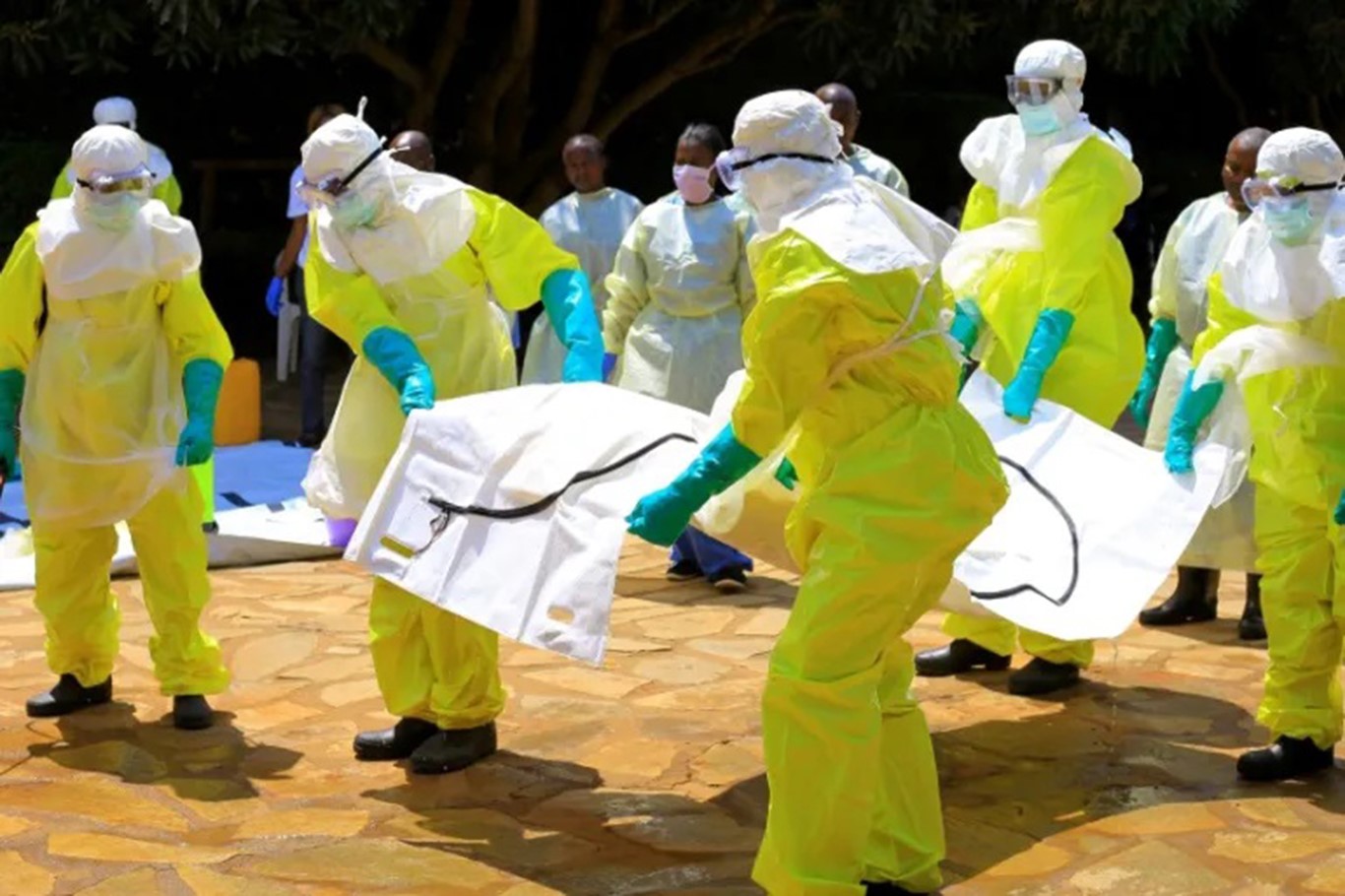 Kongo’da Ebola salgını büyüyor