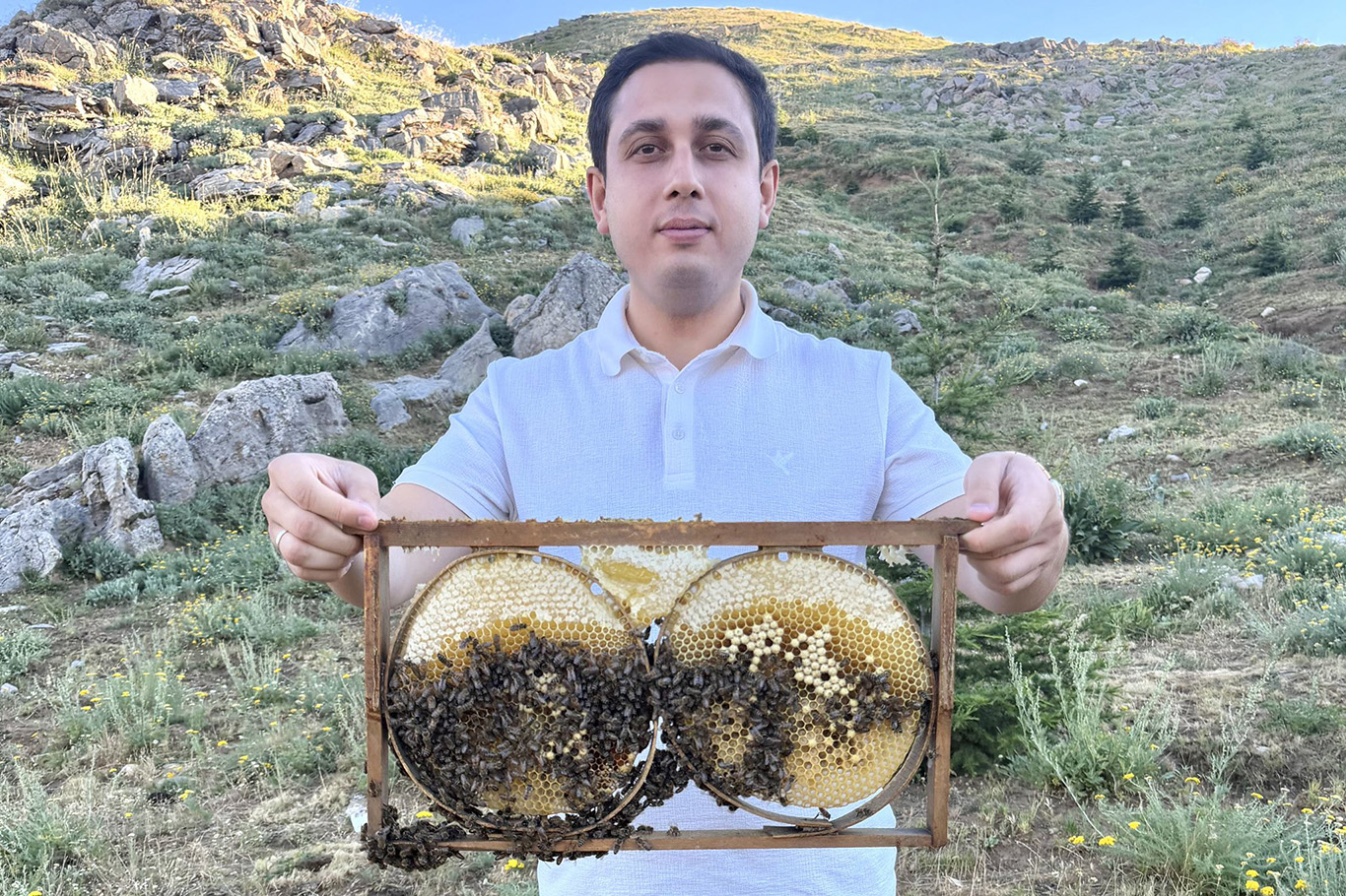 Sason balında hasat öncesi son kontroller yapılıyor