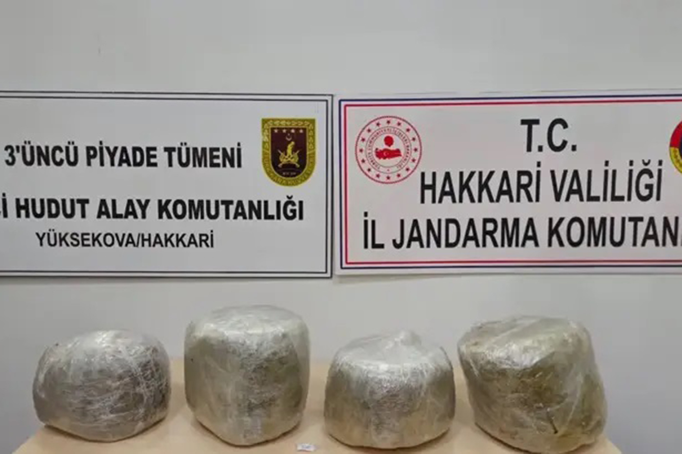Hakkari'de 11 kilogram skunk ele geçirildi: 1 tutuklama