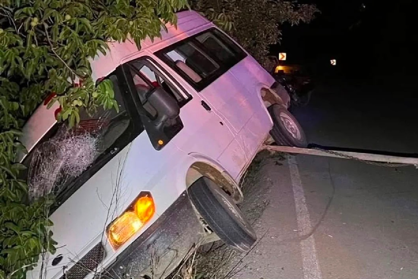 İzmir'de minibüs ağaca çarptı: 2 kişi yaralandı