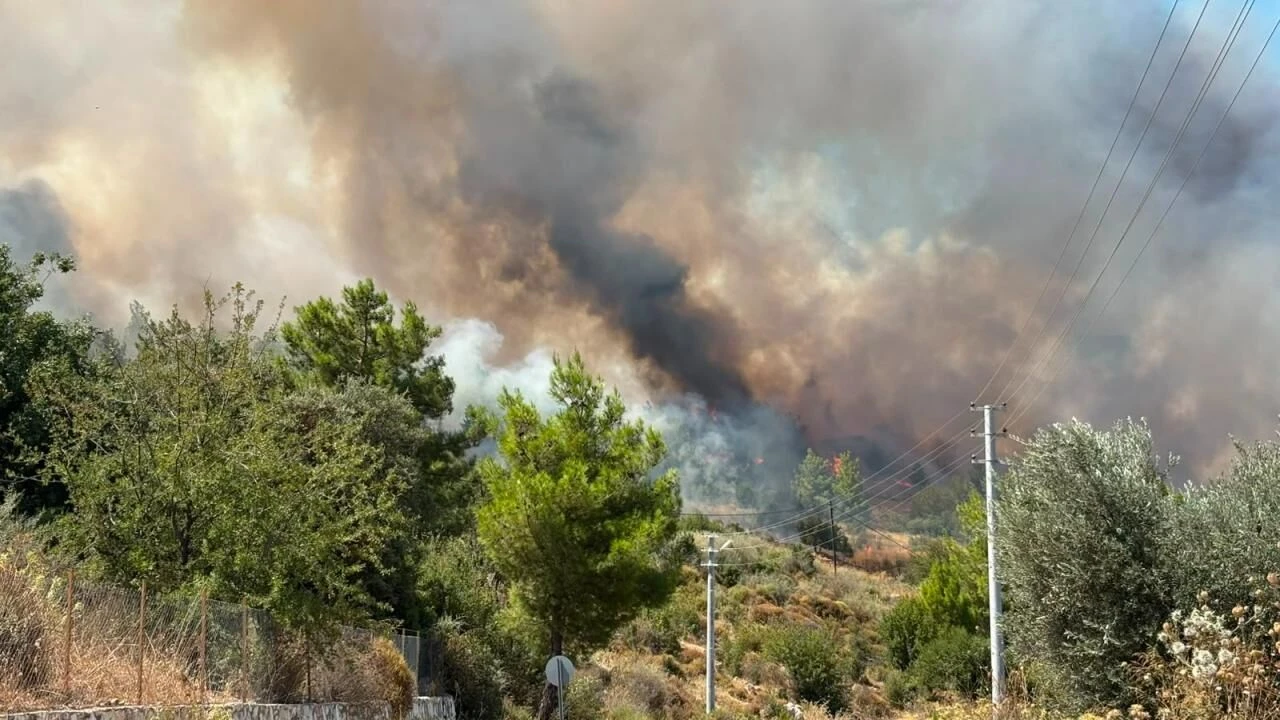 Antalya'da orman yangını: Müdahale ediliyor