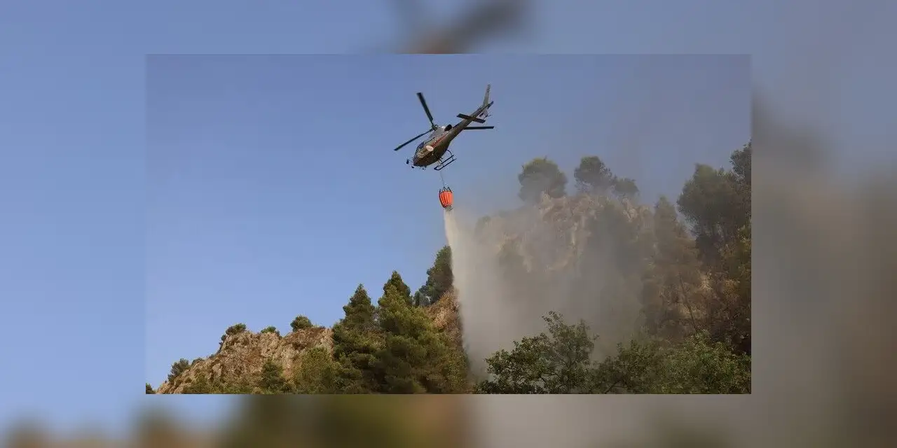 Avrupa'da bu yılki orman yangınlarının ekonomik zararının 19 milyar avroyu geçtiği tahmin ediliyor