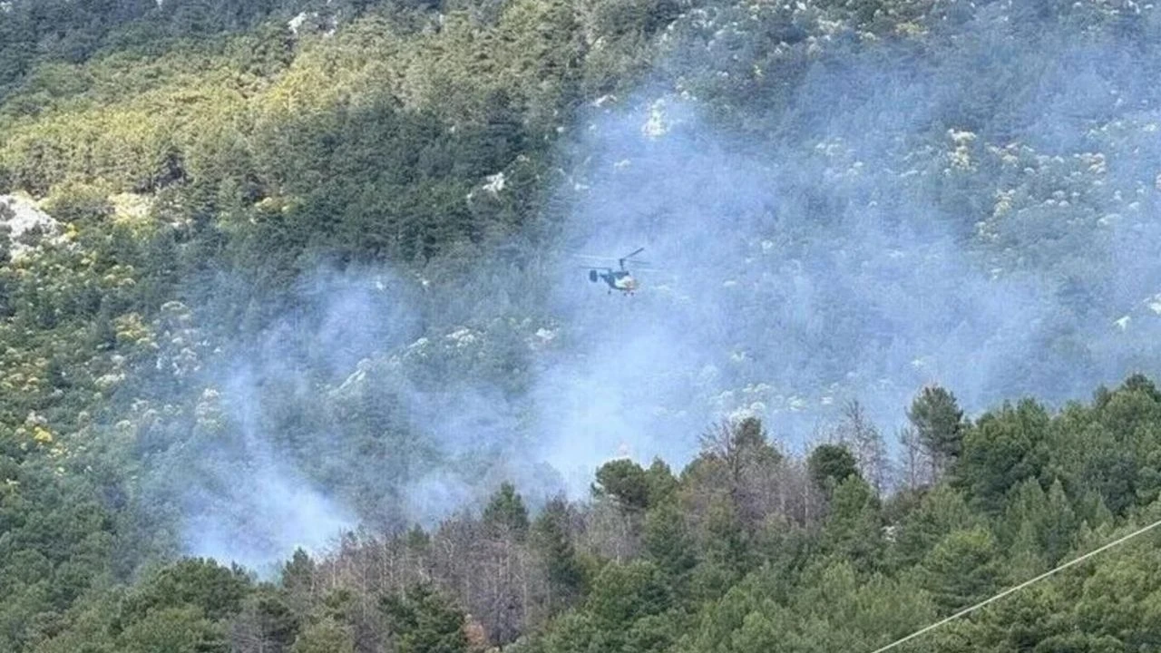Kaş'ta orman yangını