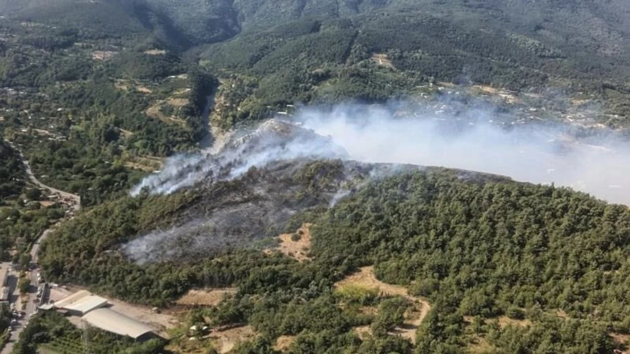Bursa'da 3 noktada yangın!