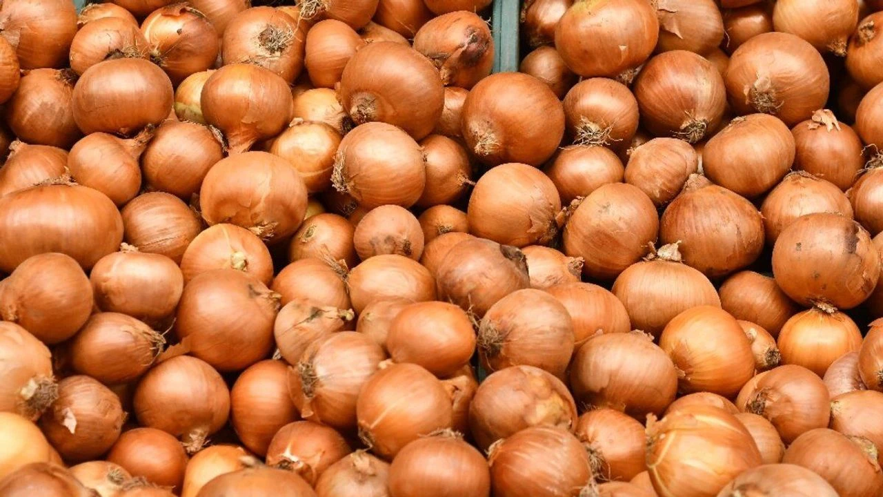 Kuru soğanda gümrük vergisi değişti