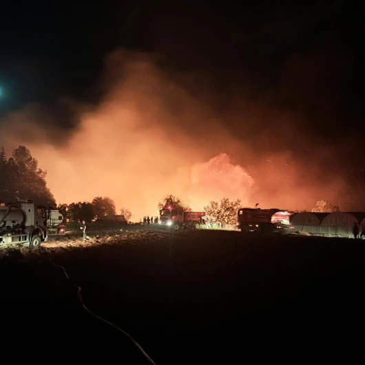 Antalya Serik'te yangın paniği: Ekipler alevlere müdahale ediyor