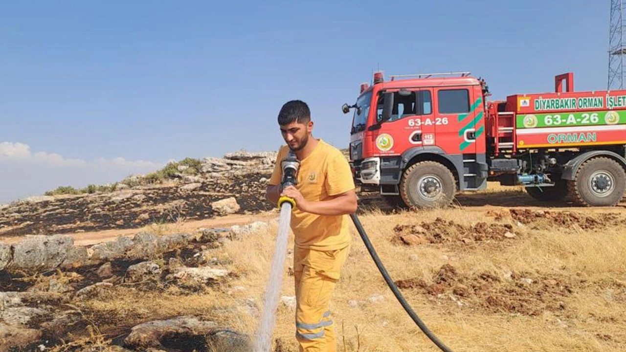 Diyarbakır'da yaklaşık 400 dönüm alanı küle döndü