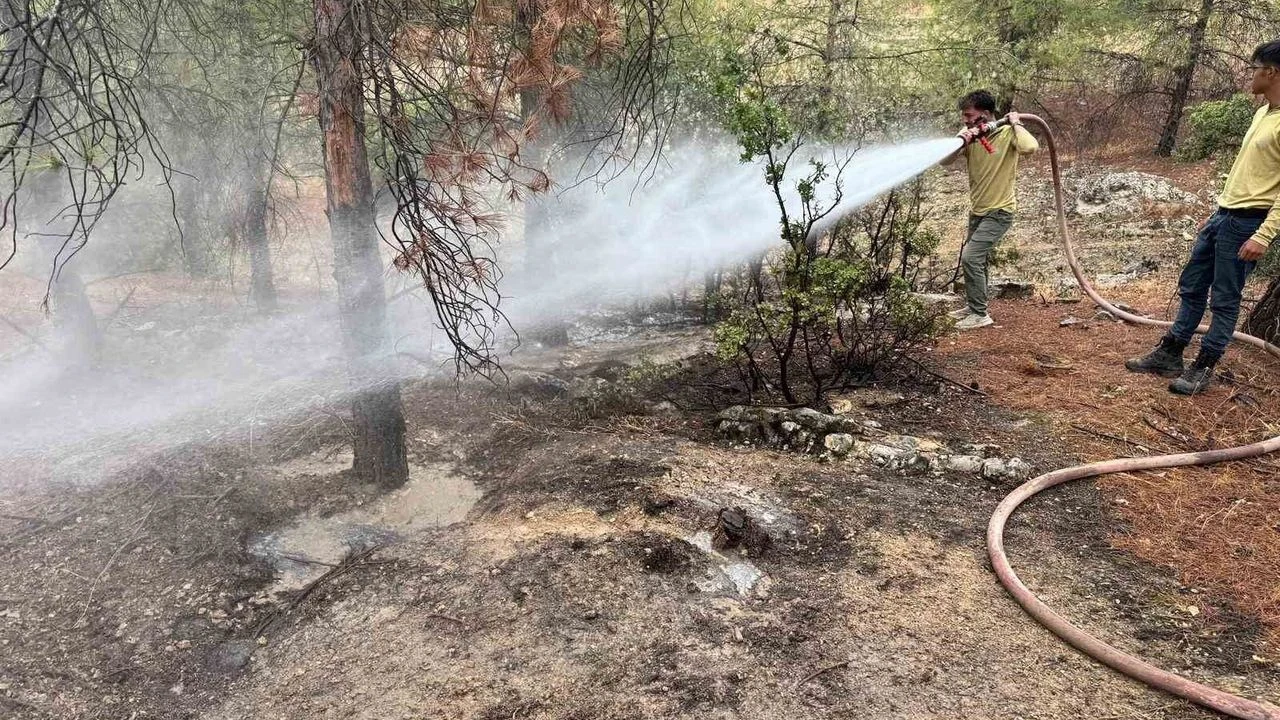 Kilis'te yıldırımın düşmesiyle ormanlık alanda yangın çıktı