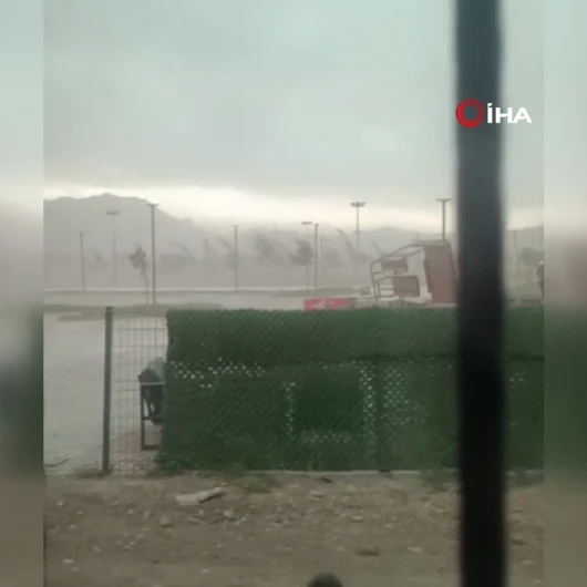 Van'da şiddetli rüzgar: Ağaçlar ve kamelyalar devrildi