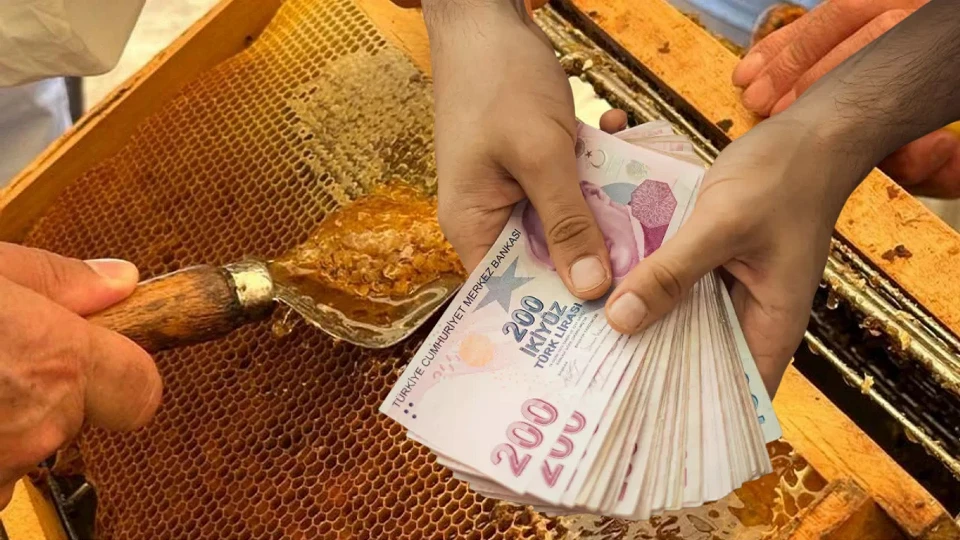 Üç kovanlık hobi kazanç kapısına dönüştü: Şimdi 250 kovanı var