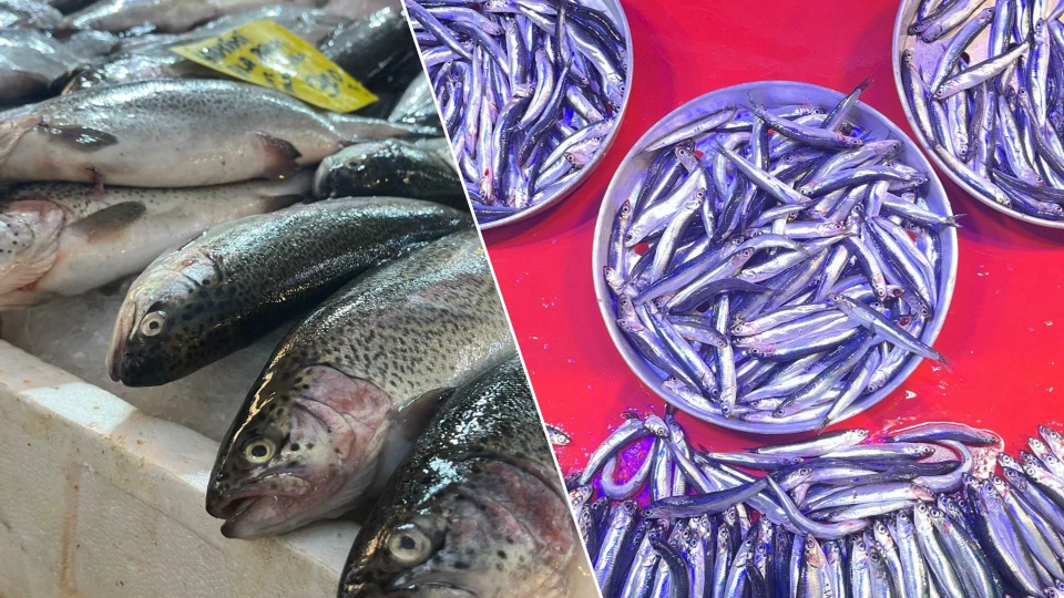 'Vira Bismillah' dediler, tezgahlar doldu taştı: 'Dönerden bile ucuz' diyerek satışa başladılar