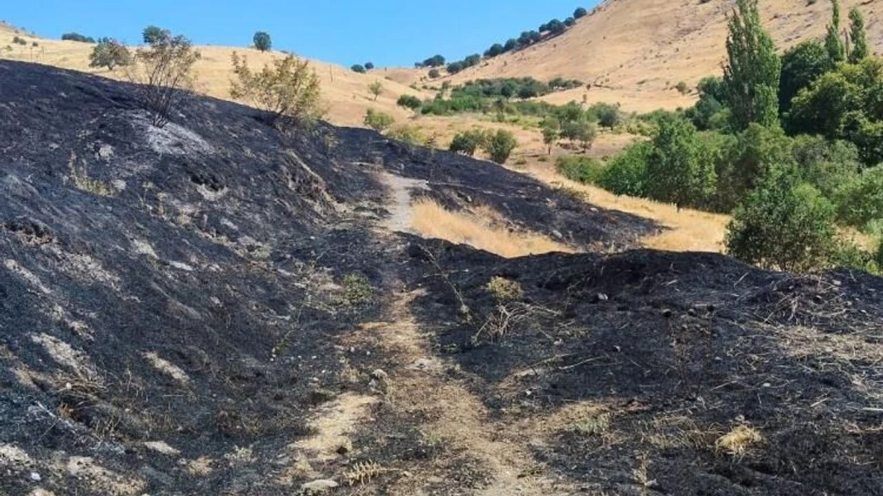 Diyarbakır'da anız yangını: 100 dönüm alan kül oldu