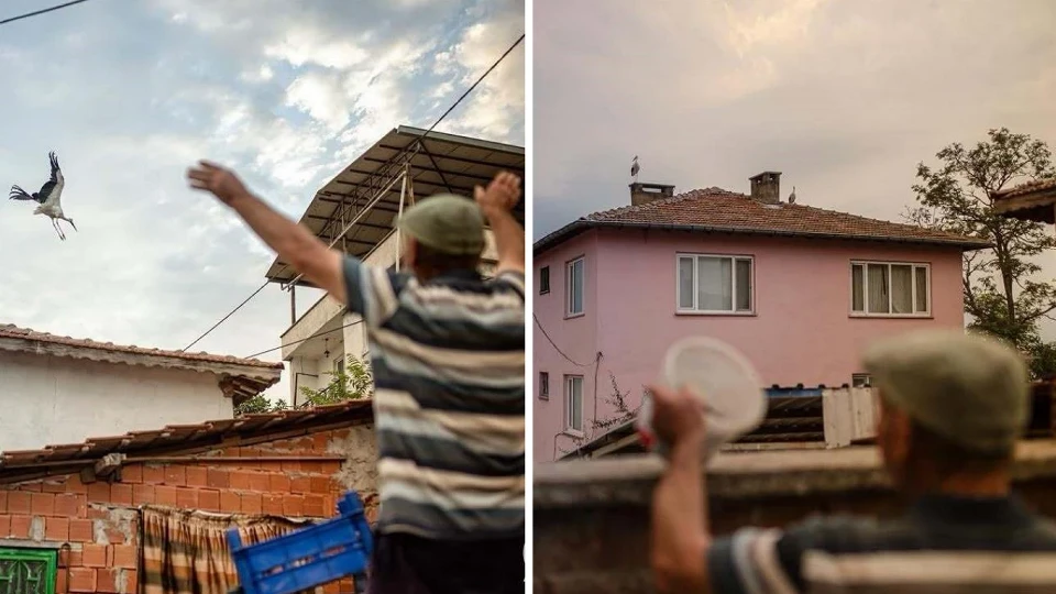 15 yıldır aynı köye dönüyordu: Yaren leylekten hüzünlü veda
