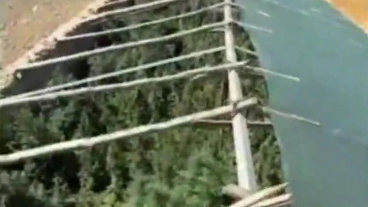 Ergani’de mini sera kurup kenevir yetiştirmişler