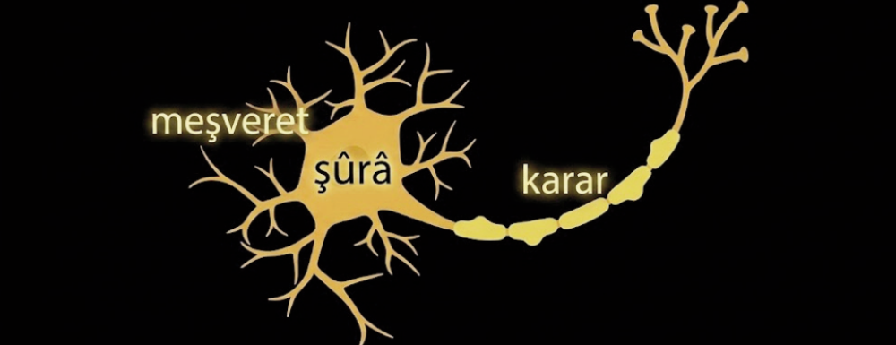 Ziya Nur BİRLİK - Sinir hücresi penceresinden meşveret-şûrâ mesleği-3: Akson & şûrâ kararı