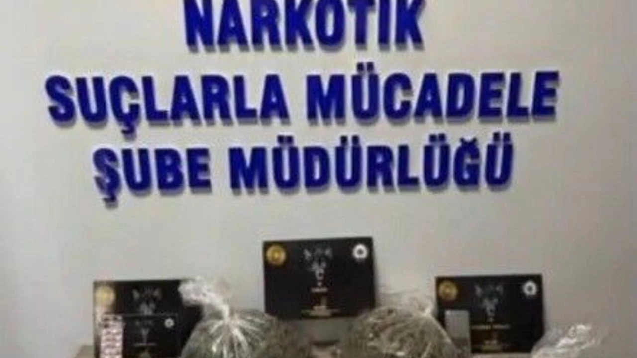 43 şüpheli yakalandı — Bingöl'de polis operasyonu