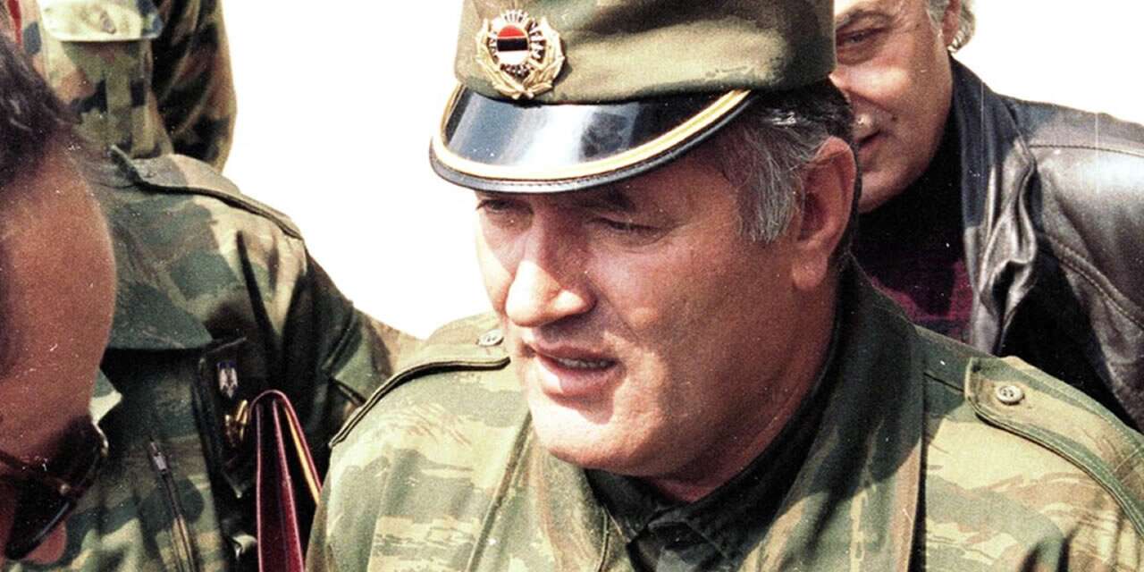 AB'den "Bosna Kasabı Mladic" için üst düzey cenaze töreni düzenlenmesi kararına tepki