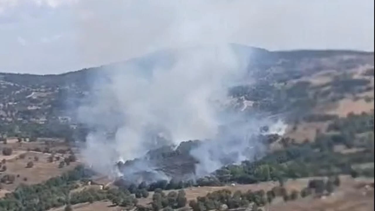 Bursa'da orman yangını çıktı
