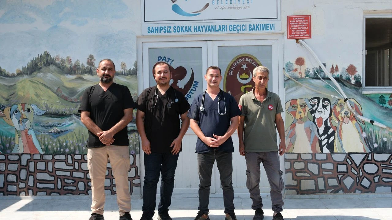 Çiftlikköy Belediyesi Sokak Hayvanlarının Yanında