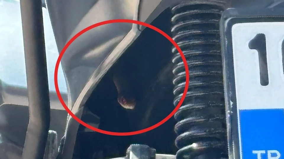 Görünce neye uğradığını şaşırdı: Motosiklete giren yılan korkuttu