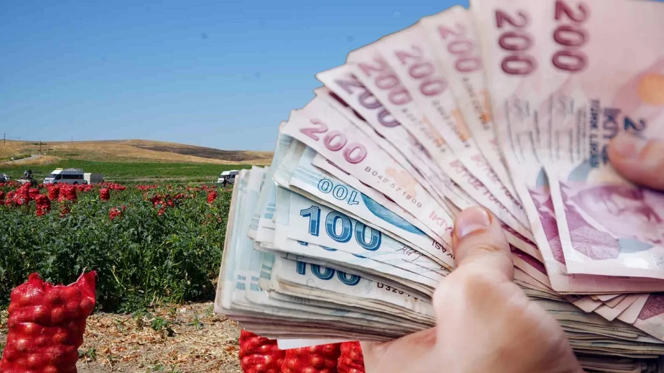 Günlük kazanç 10 bin lirayı buluyor: Başkent’te 300 kişilik zorlu mesai başladı