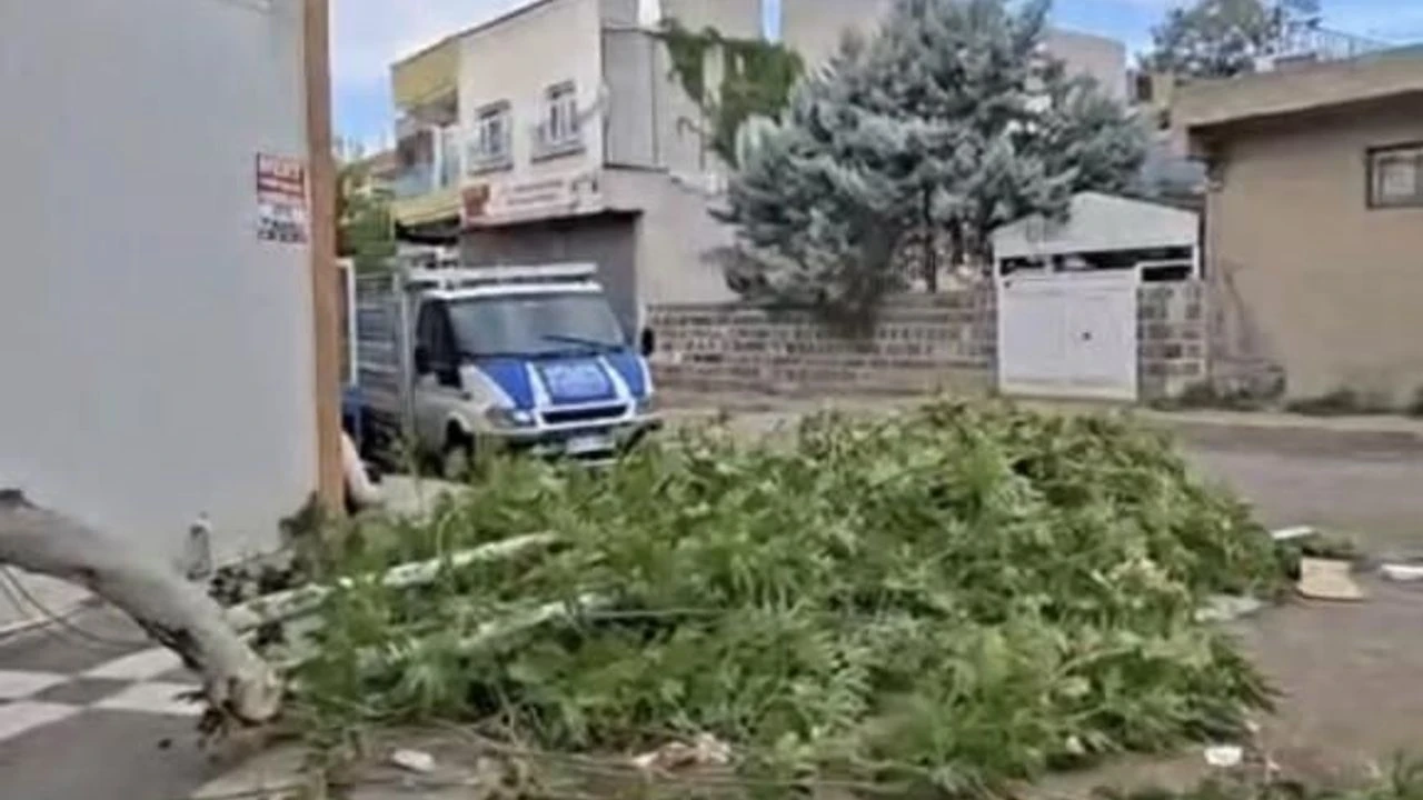 Şanlıurfa'nın Siverek ilçesinde aniden bastıran fırtına