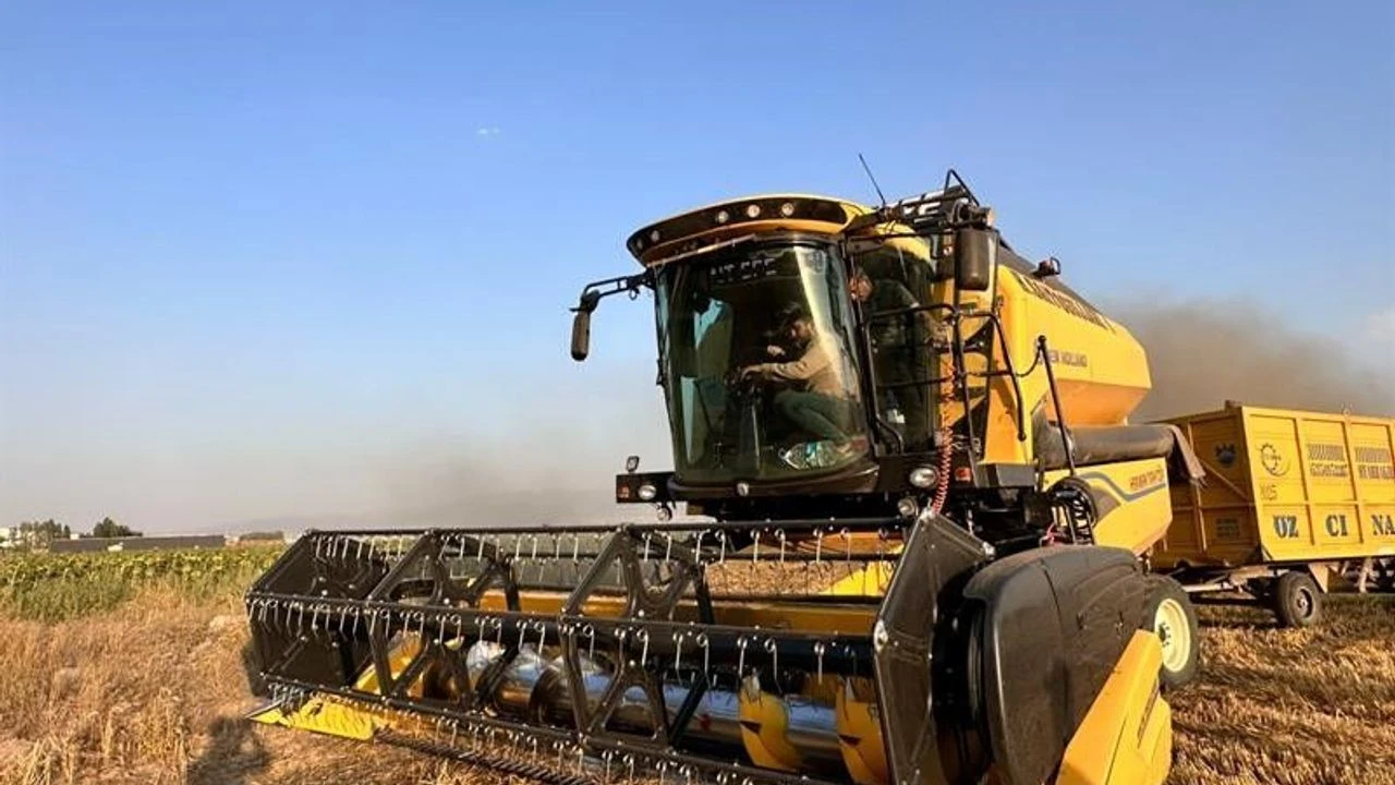Şiddetli soğuklara dayanıyor! Yeni buğday çeşidi PARLA tanıtıldı