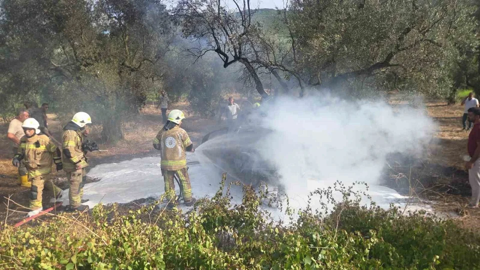 Zeytin ağacına çarptı, otomobil alev topuna döndü: Bir kişi hayatını kaybetti