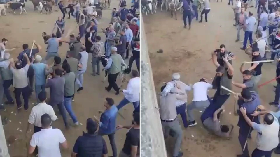 Diyarbakır Canlı Hayvan Borsası'nda alacak verecek kavgası ortalığı karıştırdı: Sopa ve tekmelerin havada uçuştuğu o anlar pes dedirtti