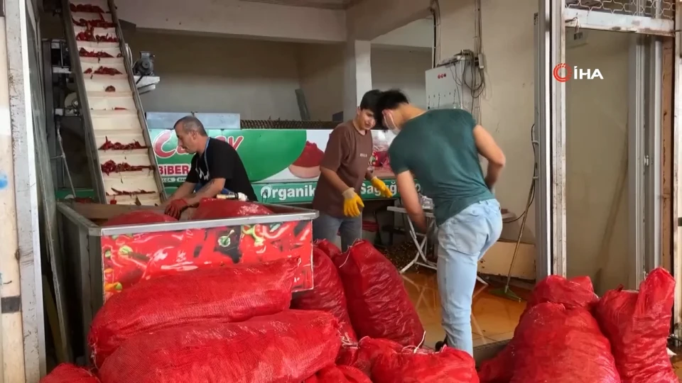 Besni'de kışlık salça telaşı başladı: Tezgahlardaki yerini aldı