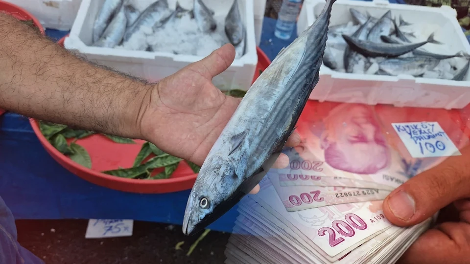 Fırtına balıkçıları durdurdu, palamut fiyatı düştü! Tanesi 75 TL'ye satılıyor